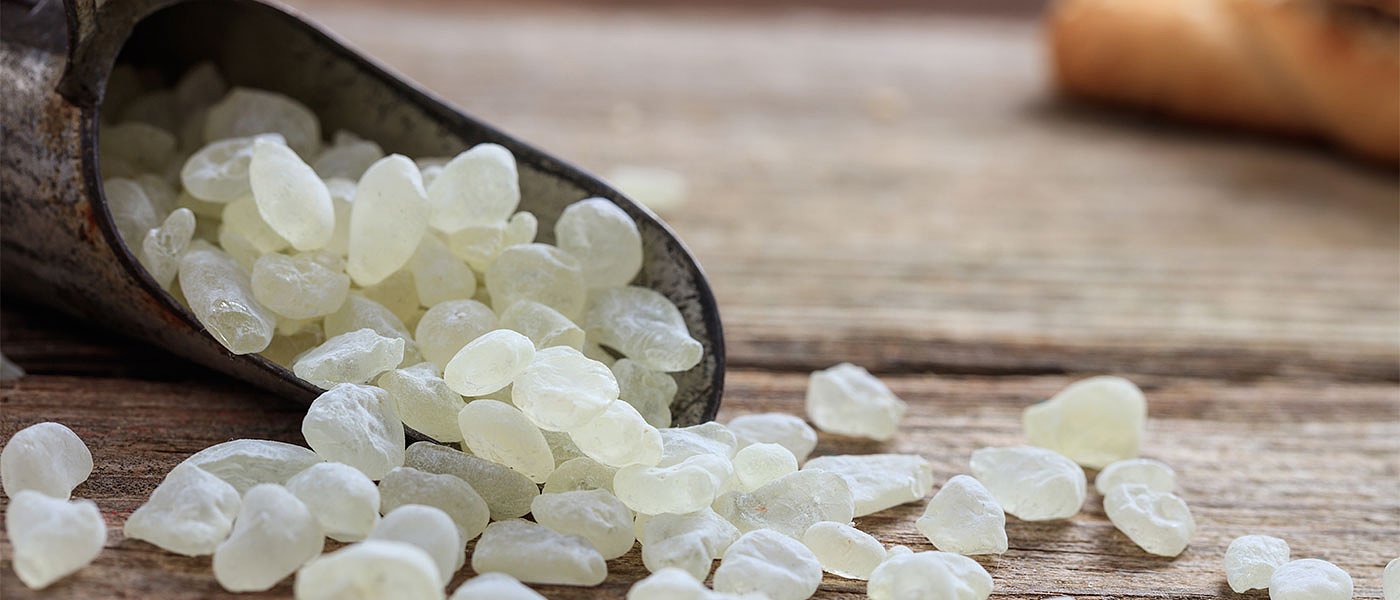 Πάνω από 3,2 εκατ. ευρώ είναι η ζημιά στην μαστιχοπαραγωγή της Χίου