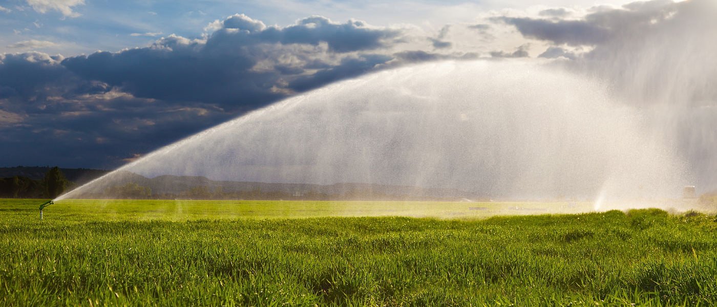 Χρυσάφι το... πότισμα στις περισσότερες περιοχές του Θεσσαλικού κάμπου