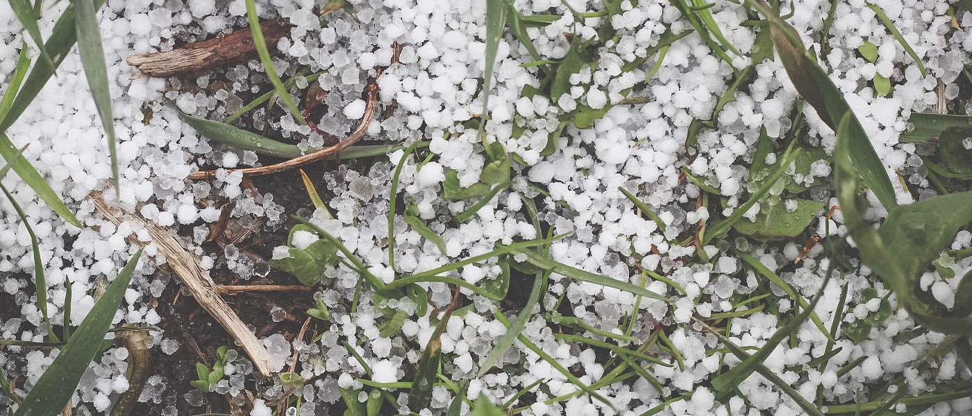 Ζημιές σε καλλιέργειες έφερε το κύμα κακοκαιρίας που πλήττει τη χώρα