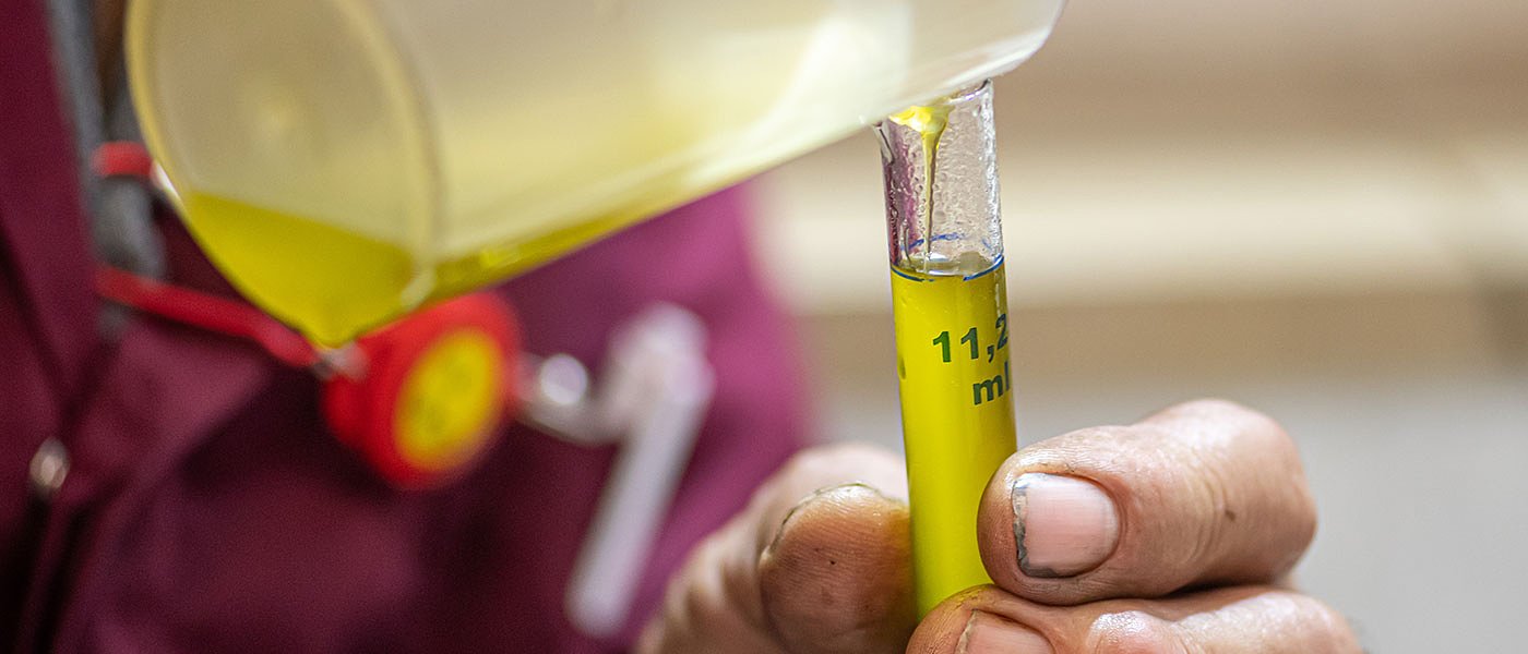 Στα 9,36 πούλησαν το ελαιόλαδο οι συνεταιρισμοί Μεταμόρφωσης και Φοινικίου στην Λακωνία