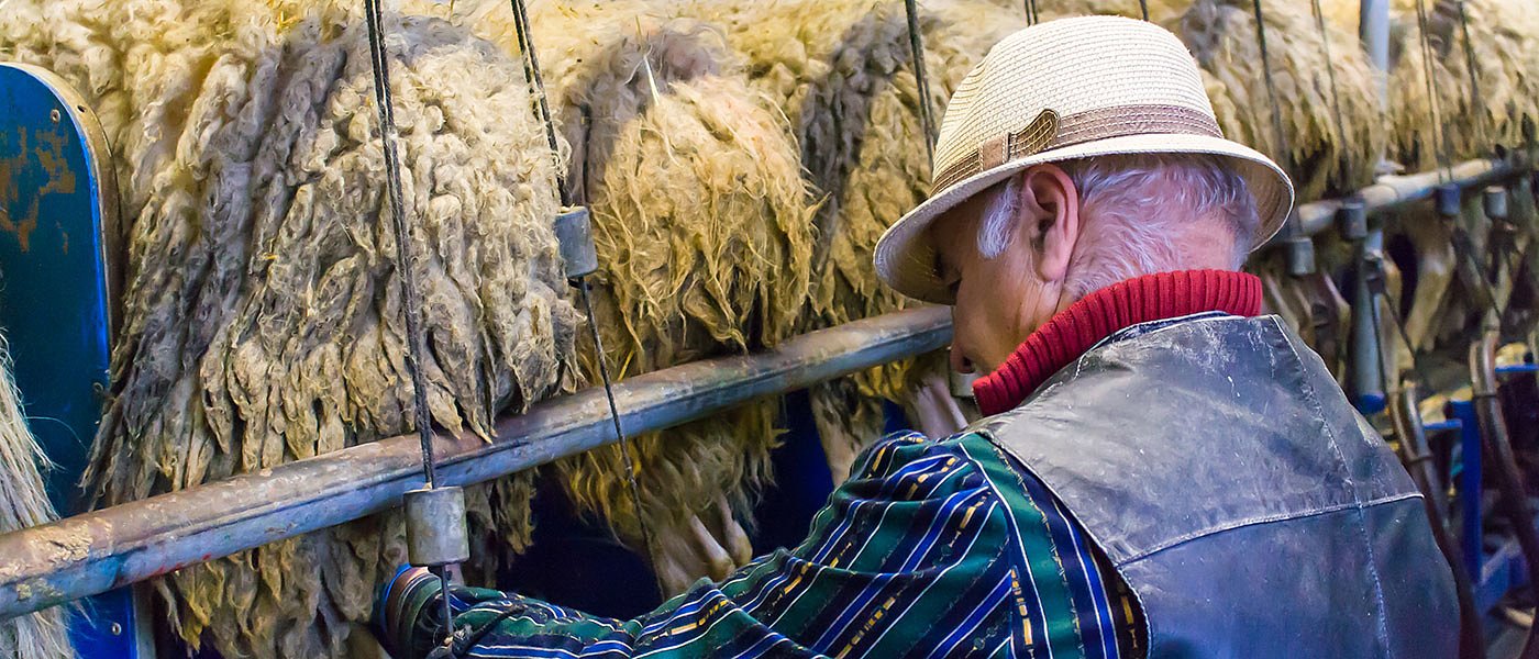 Από πότε το ΥπΑΑΤ καθορίζει τιμές γάλακτος και κρέατος, αναρωτιέται ο ΣΕΚ