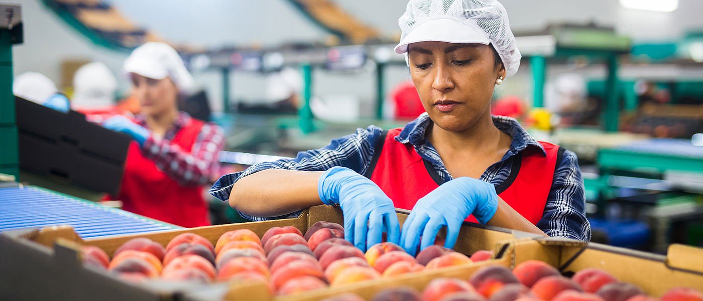 ​​Αιτήσεις ΕΣΠΑ για νέες μικρομεσαίες επιχειρήσεις, αφορούν και αγροδιατροφή