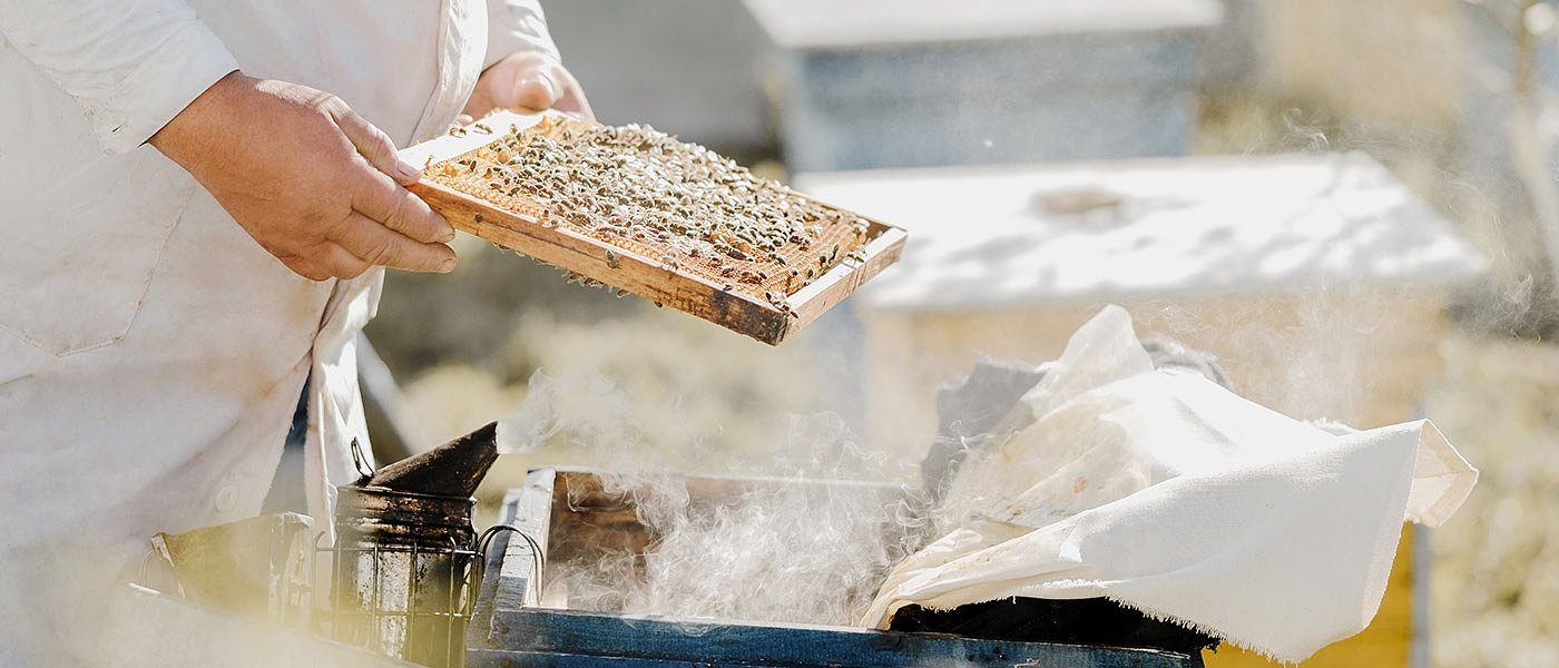 Αποκλεισμένοι προς το παρόν πολλοί μελισσοκόμοι από το νέο πρόγραμμα βιολογικών