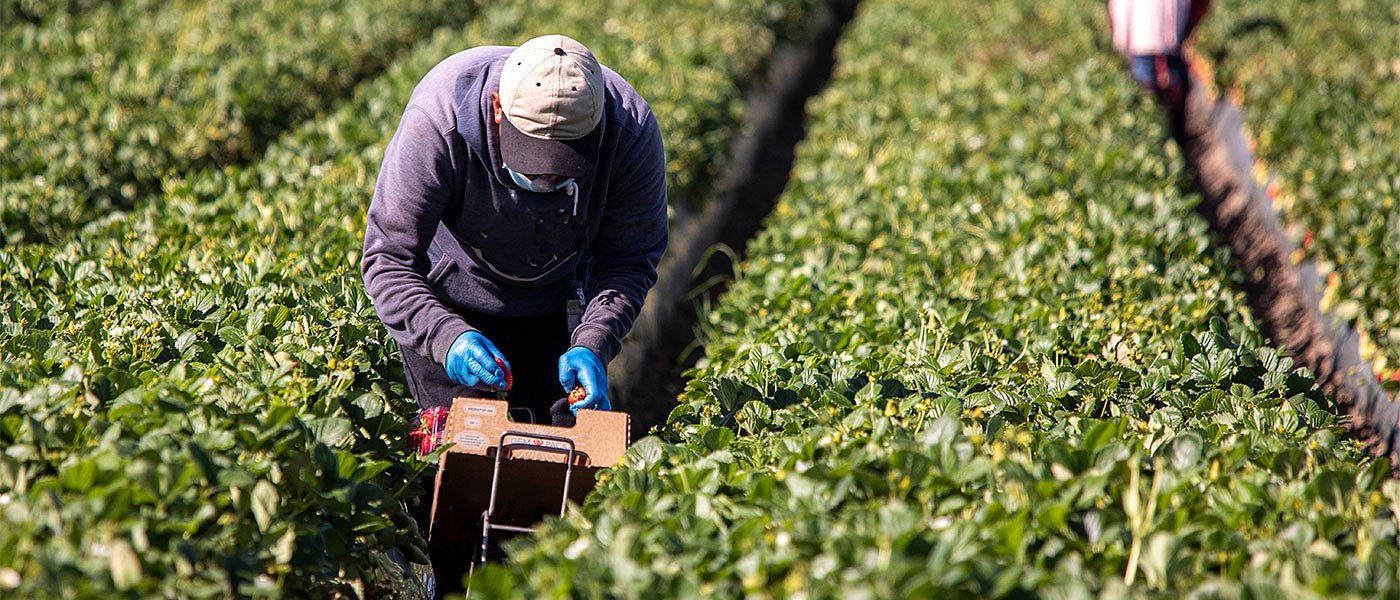 ΕΕ: Προβληματισμός από κόστος παραγωγής, χαμηλό εισόδημα απειλή για βιωσιμότητα αγροτών