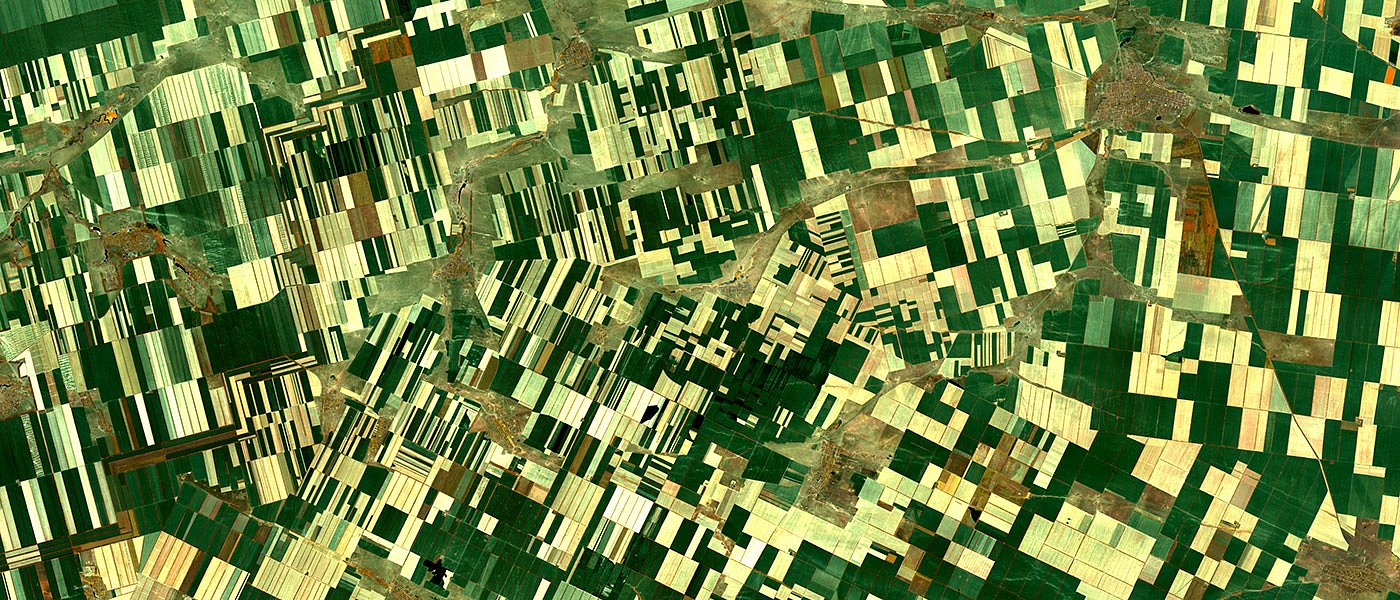 Πραγματικά ή εικονικά μισθωτήρια; Το νέο αγκάθι των ελέγχων στον αγροτικό χάρτη