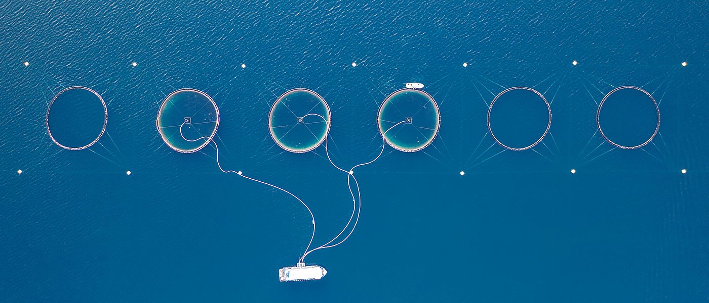 Δύο Διεπαγγελματικές για αλιεία και υδατοκαλλιέργειες σχεδιάζει το ΥπΑΑΤ