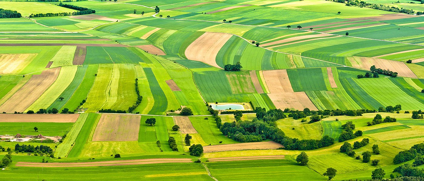 Ορθοφωτοχάρτες 22 για όρια αγροτεμαχίων στο ΟΣΔΕ, σε ποιους νομούς θέλει προσοχή