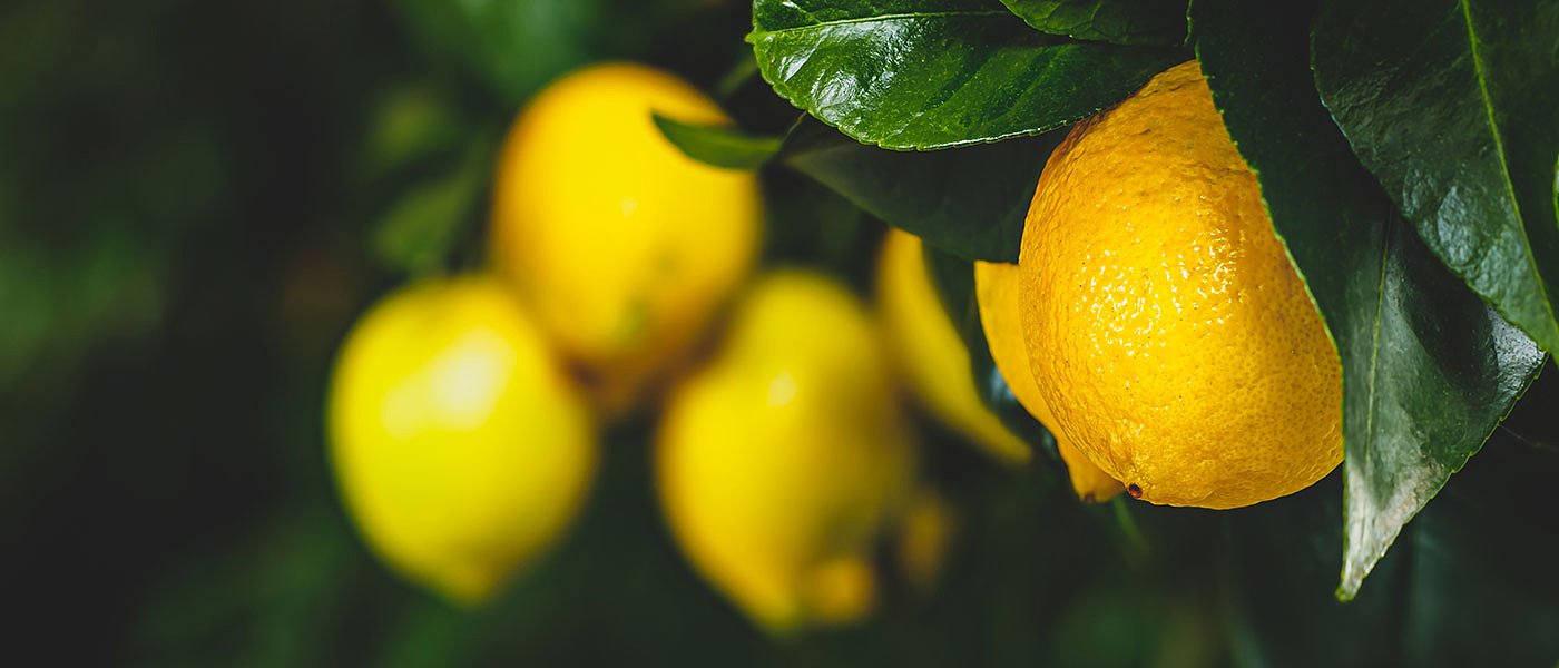 Η Ελλάδα έχει ευθύνη για ελέγχους υπολειμμάτων στις εισαγωγές, παίρνει χρήματα από ΕΕ