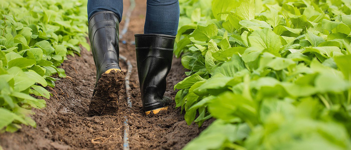 Διατήρηση βιολογικών θα ενταχθούν 5,4 εκ. στρέμματα, για περισσότερα μείωση πριμ