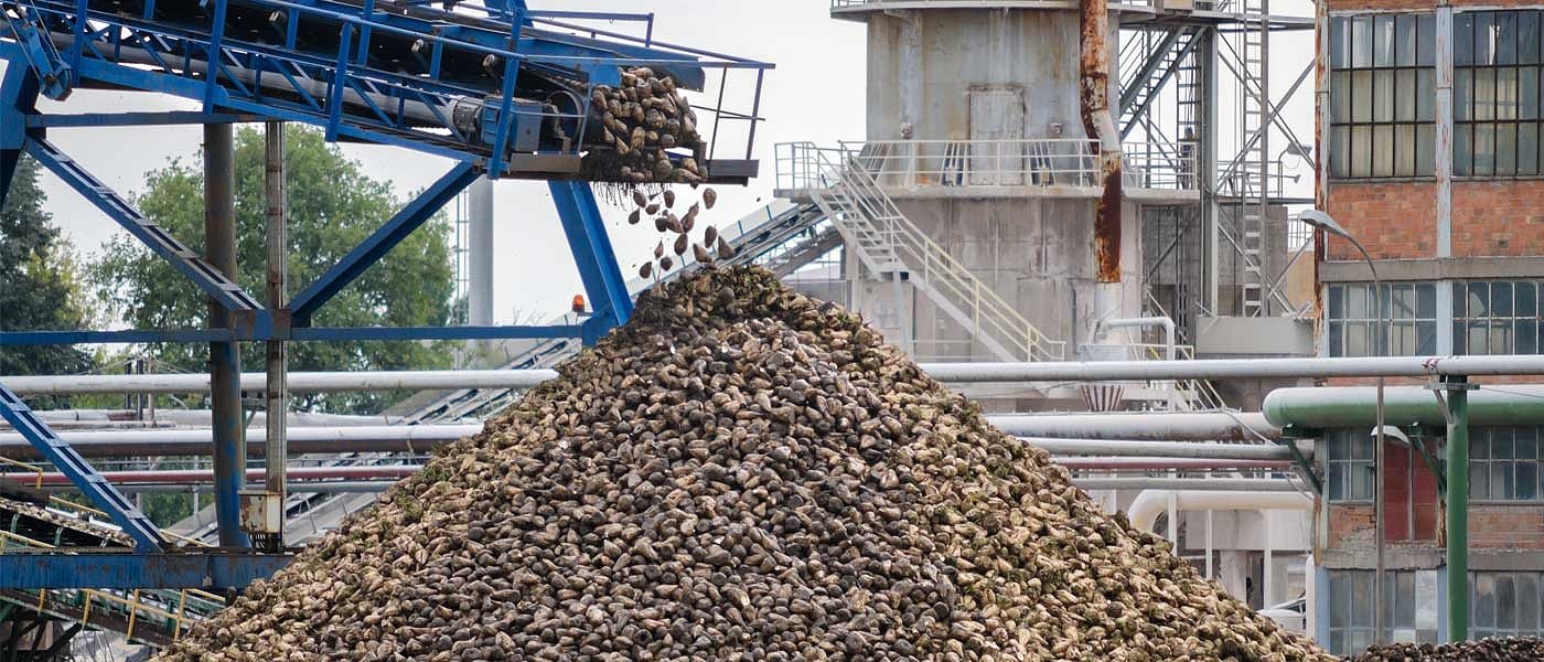 Στις Σέρρες θα περιοριστεί η καλλιέργεια τεύτλων, αποθήκη θα γίνει στο Πλατύ