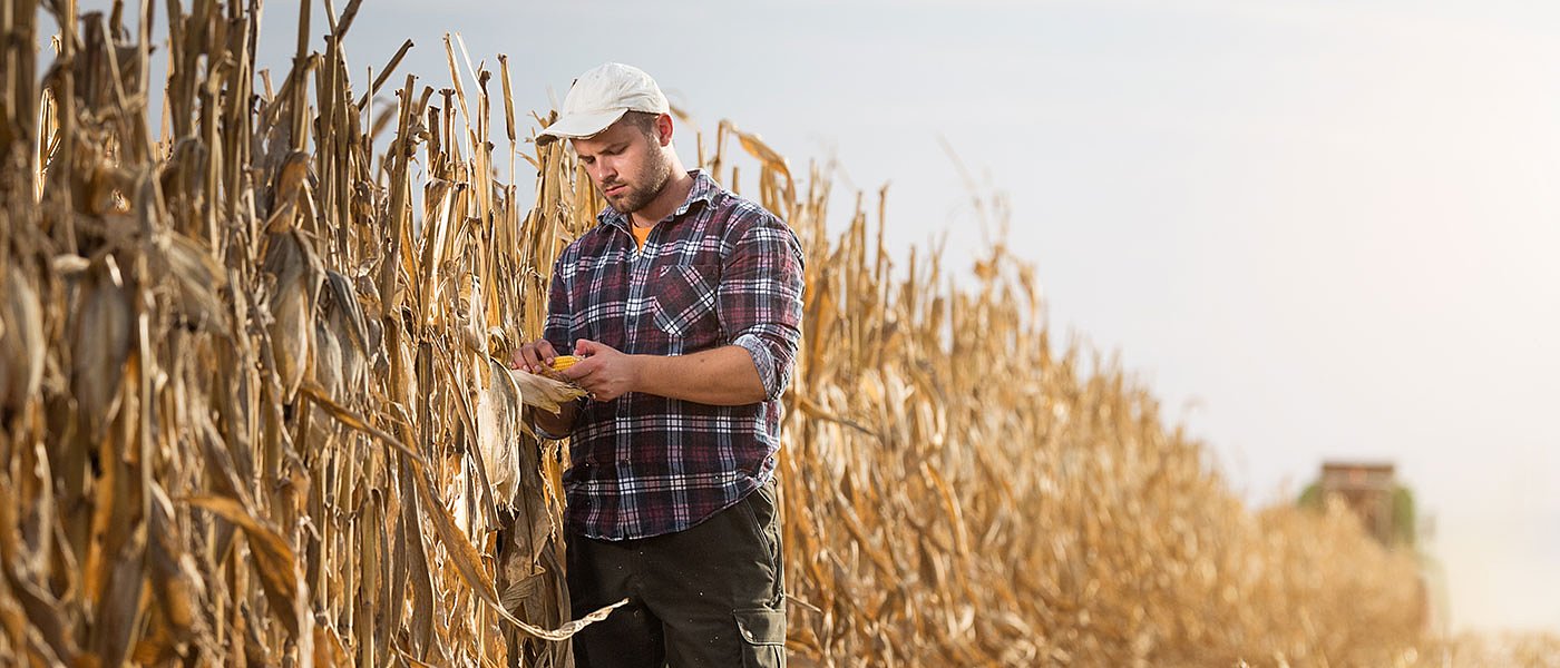 Περιφέρεια Θεσσαλίας: Νέα αύξηση προϋπολογισμού για το πρόγραμμα Νέων Αγροτών 