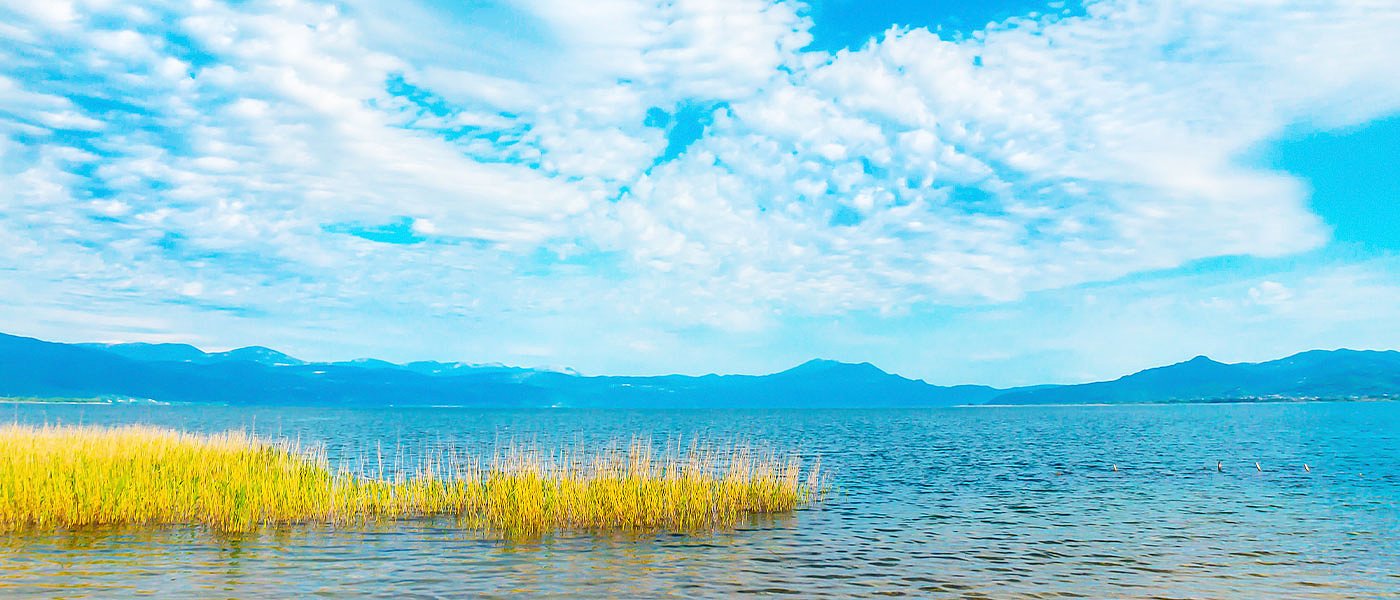 Πρωτοβουλία για αναγνώριση της Αθερίνας Τριχωνίδας ως ΠΟΠ ή ΠΓΕ