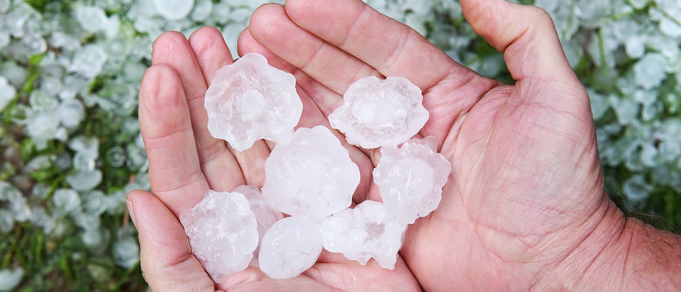 Μεγάλες ζημιές από χαλαζοπτώσεις, αποτελείωσαν την ελαιοπαραγωγή