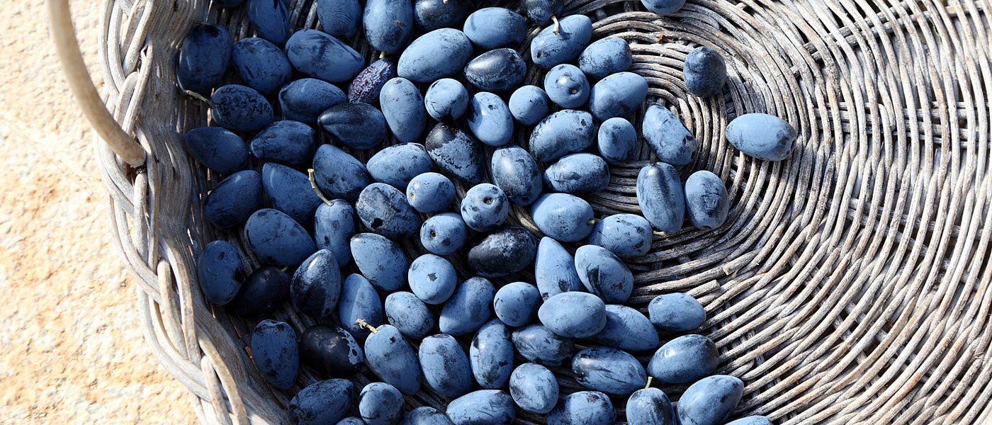 Τα βαφτίσια της Καλαμών στην Κομισιόν πήγε ο Φράγκος της Ελληνικής Λύσης