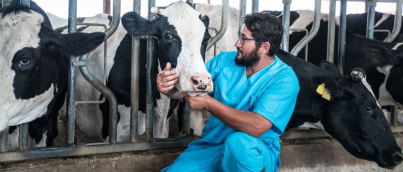 Θετική η ΠΟΓΕΔΥ στο νέο Οργανόγραμμα Περιφέρειας Δυτικής Ελλάδας