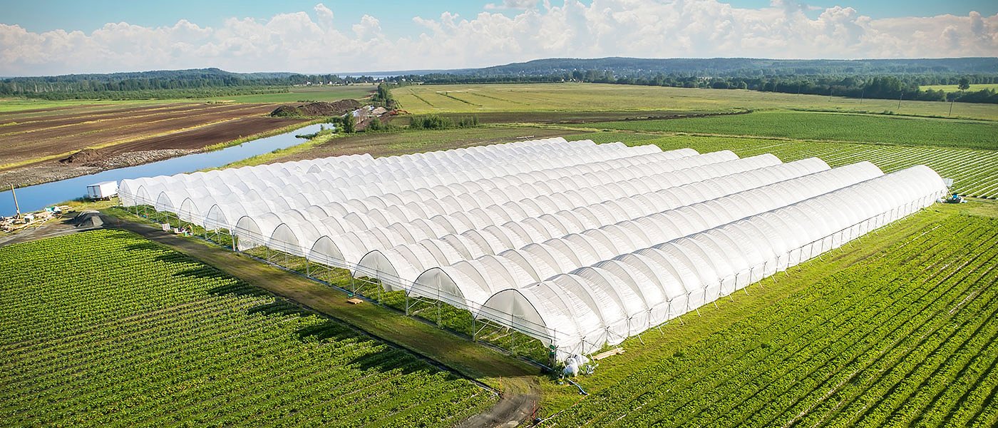 Έρχεται η πρόσκληση για τα θερμοκοκήπια, τα προβλήματα που μπλοκάρουν την επένδυση