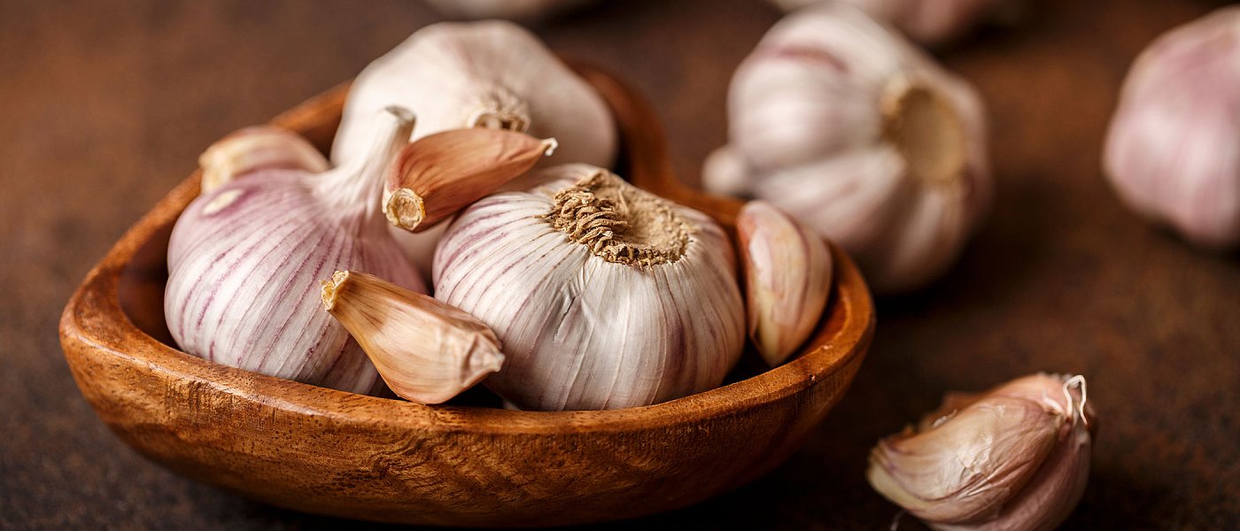 Οκτώβριο γίνονται φυτεύσεις σκόρδων, κόστος και τιμές κρατάνε χαμηλά τα στρέμματα, λύση η εκμηχάνιση καλλιέργειας