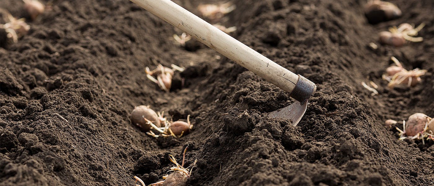 Πρόταση ΕΒΕΘ για την αξιοποίηση ακαλλιέργητων εκτάσεων του Δημοσίου