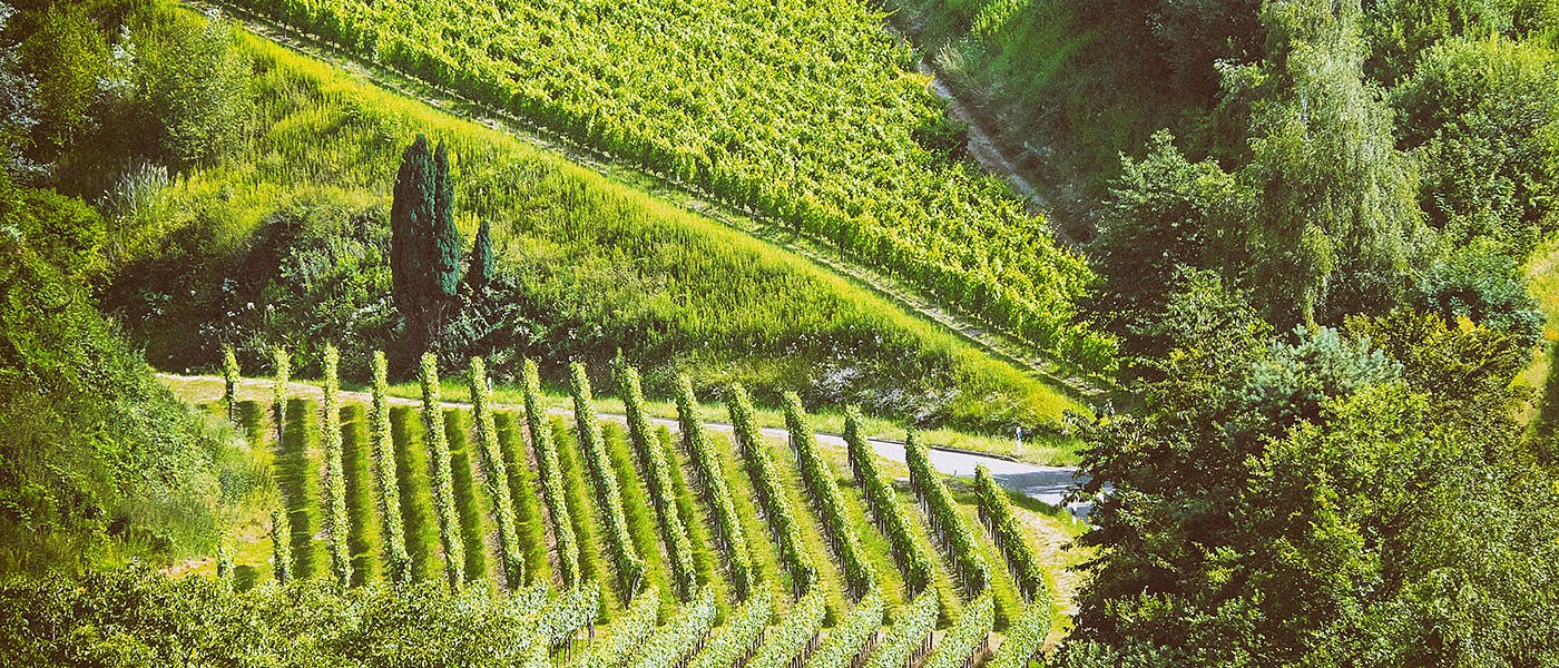 Βελτιώσεις Σκρέκα για τους δασικούς χάρτες, αλλά μόνο σε τέσσερις περιοχές της χώρας