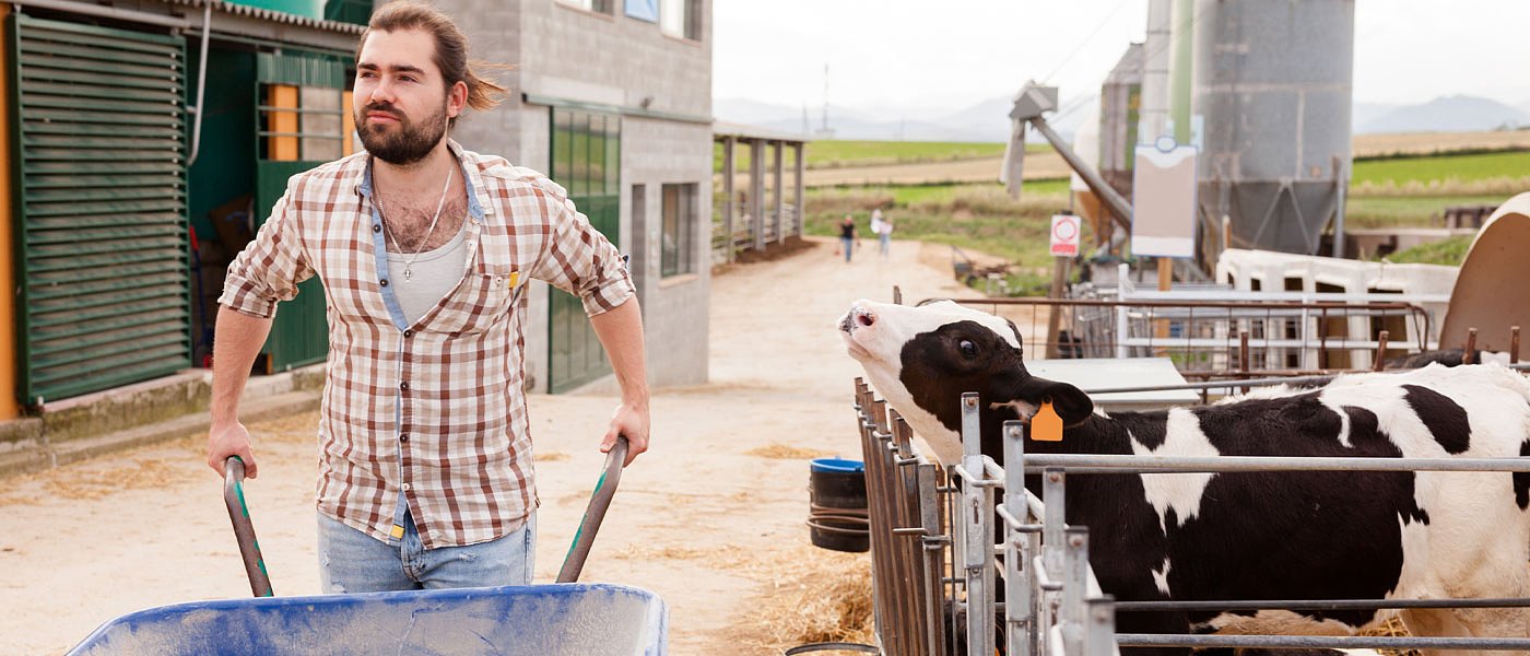 ΣΕΚ: Αποζημιώσεις 250 ευρώ ανά πρόβατο, 1.500 ευρώ ανά βοοειδή, 400 ευρώ ανά χοιρινό