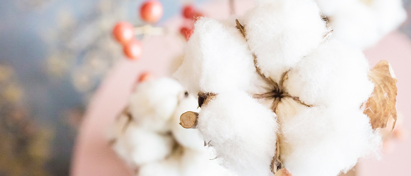 Στο βιολογικό βαμβάκι η ΕΑΣ Μεσολογγίου, συνεργασία με Κλωστοϋφαντουργία Ναυπάκτου