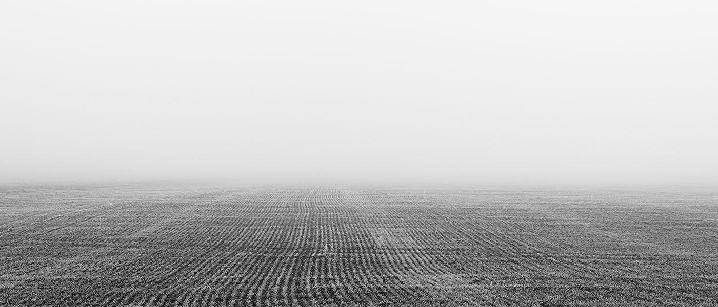 Πίσω πάει χρονικά η παραγωγή καρπουζιού, εκτεταμένες ζημιές στην πατάτα από πάγο