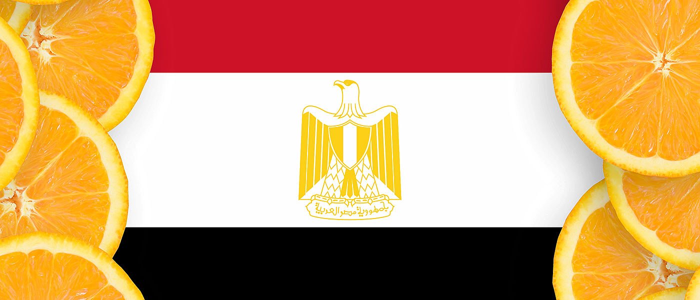 Χαμηλές τιμές πορτοκαλιών και μανταρινιών στην Ελλάδα, ψυχραιμία λένε οι Ισπανοί