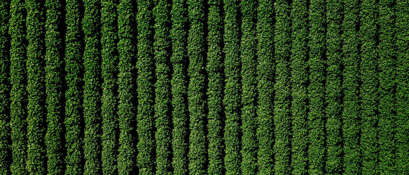 Αγροτικοί αναδασμοί: Οριστική λύση στο ζήτημα των δασικών χαρτών