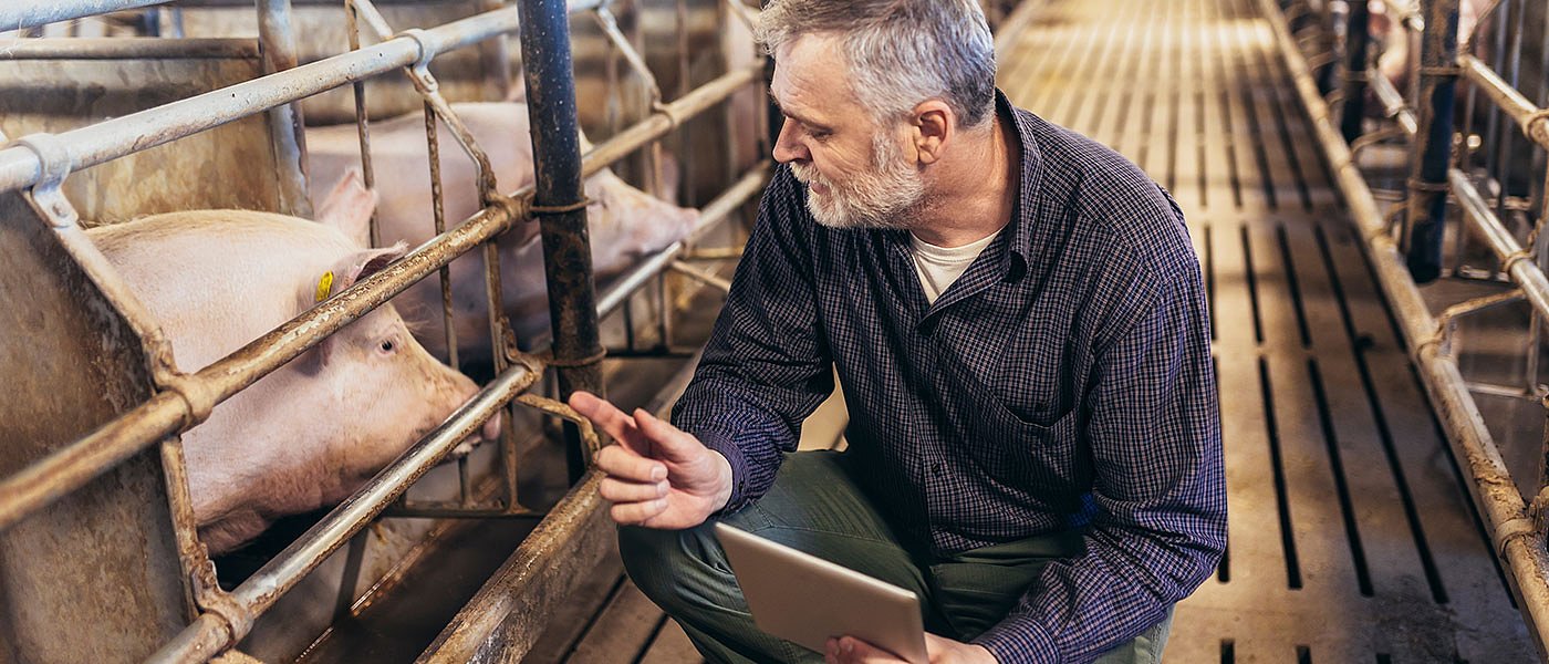 ΕΕ: Πράσινη Συμφωνία φέρνει αλλαγές στις χοιροτροφικές και πτηνοτροφικές εκτροφές