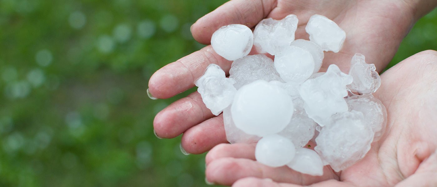 Σφοδρή η κακοκαιρία, θέρισε τριφύλλια, καλαμπόκια, βαμβάκια και κηπευτικά