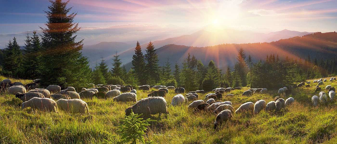 Εγκεκριμένοι και Απορριπτόμενοι Εξισωτικής, πότε γίνονται ενστάσεις και πληρωμές
