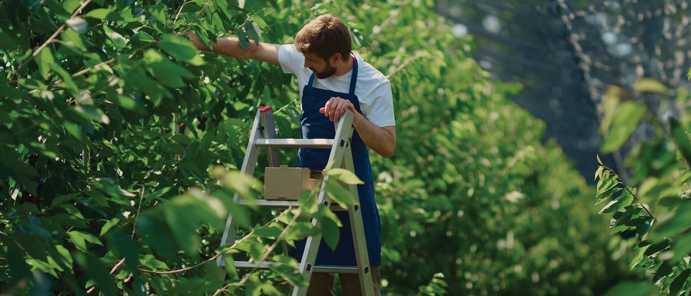 Τα προβλήματα παραμένουν με τους εργάτες γης, δεν τρέχουν οι διακρατικές συμφωνίες