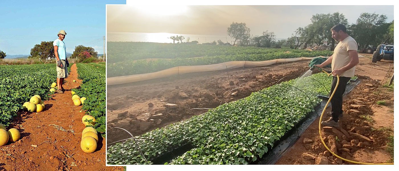 Αντώνης Γκόνης: Το επώνυμο πεπόνι που έγινε γνωστό σε Ελλάδα και εξωτερικό