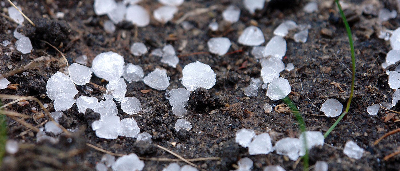 Νέες ζημιές από χαλαζοπτώσεις χωρίς αντιχαλαζική προστασία άφησε τις καλλιέργειες ο ΕΛΓΑ