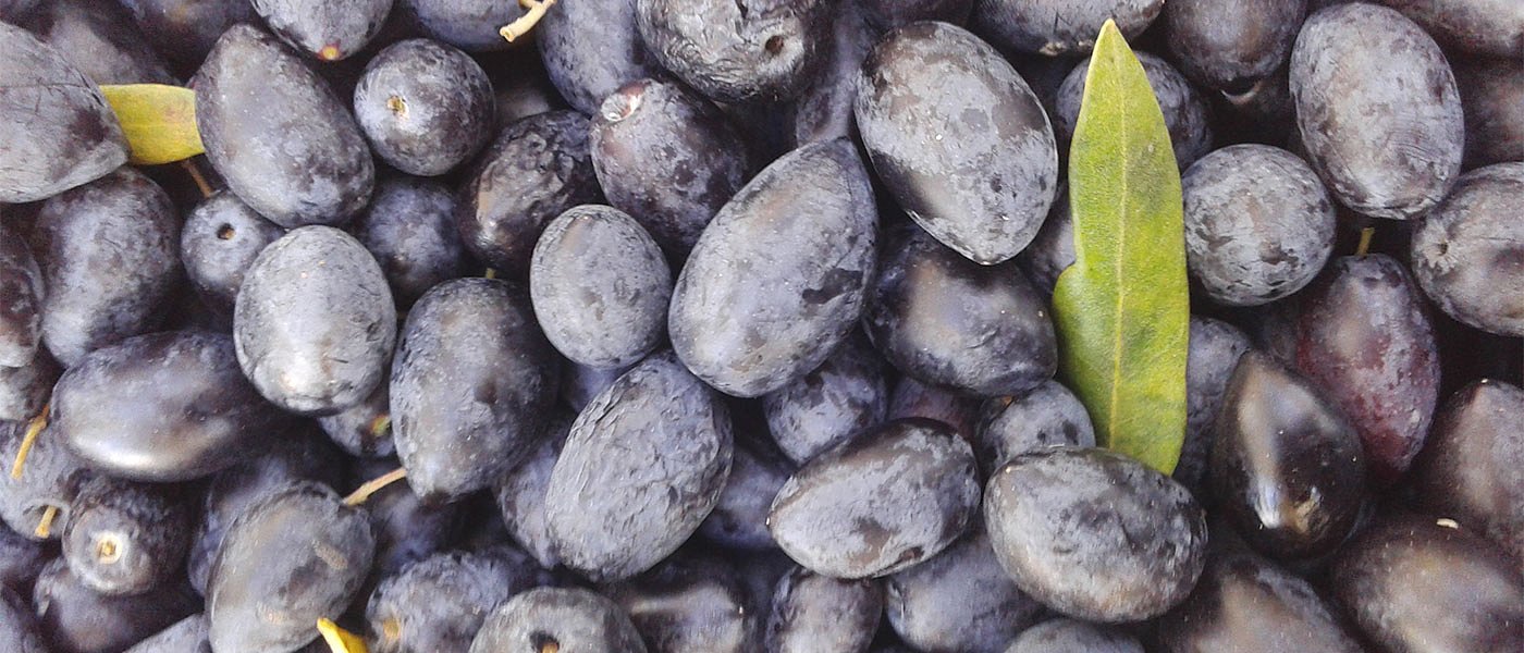 Με κλειστά χαρτιά για τις τιμές στα Καλαμών η μεταποίηση στην εκδήλωση της Σταμνάς