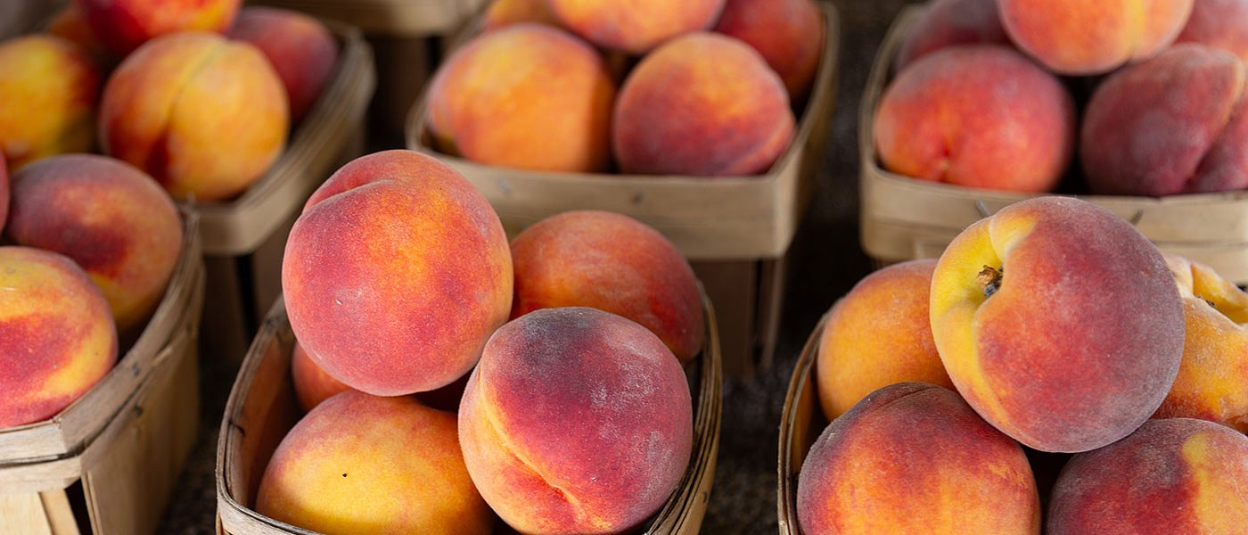 Ετοιμάζεται ΦΕΚ με αποζημιώσεις παραμορφωμένων ροδάκινων, πως θα δοθούν τα de minimis