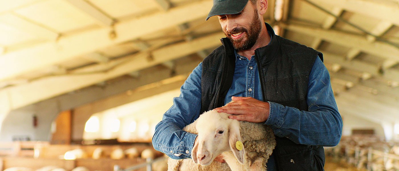 Χιλιάδες κόκκινα δάνεια μένουν εκτός ρύθμισης τονίζουν οι κτηνοτρόφοι, τι προτείνουν
