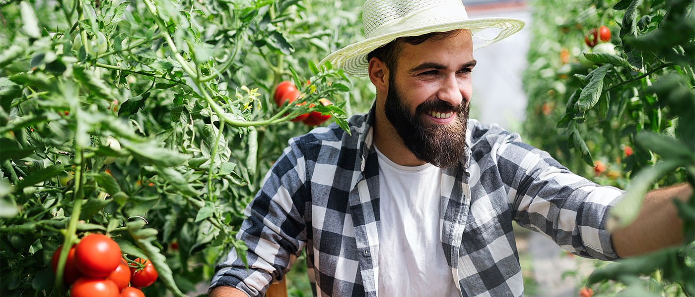 Υπογράφεται τις επόμενες ημέρες η ΚΥΑ για μετακλητούς, τι αλλαγές αναμένονται