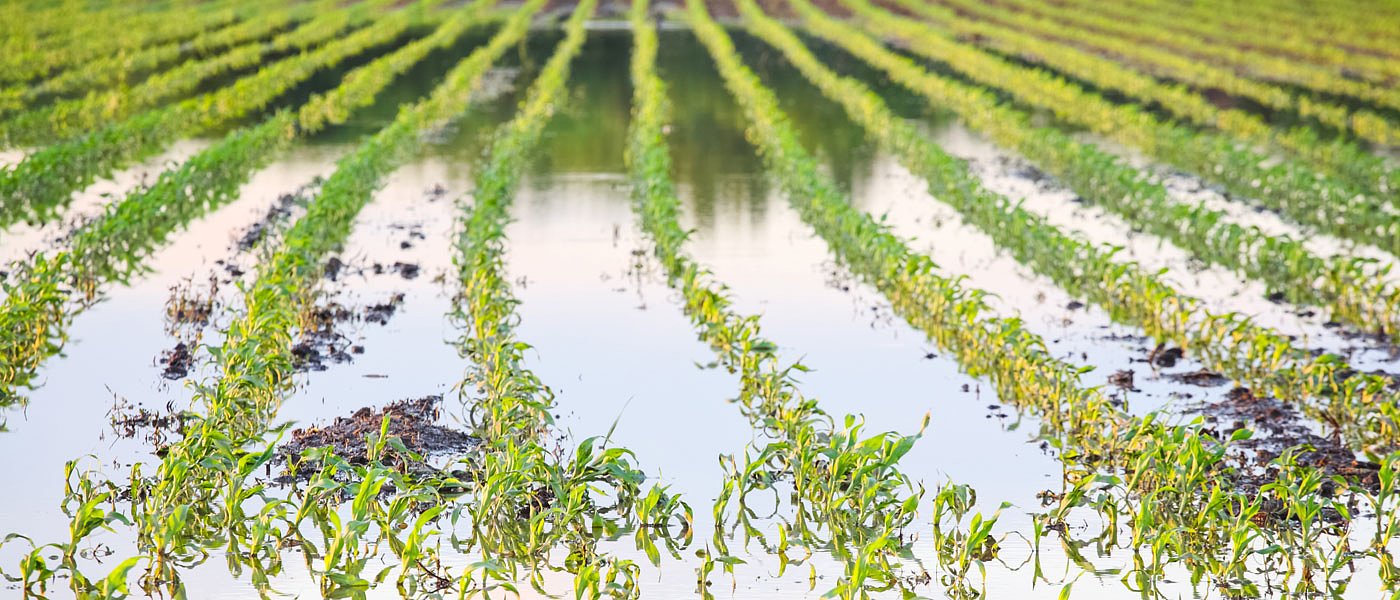 De minimis ανά ΑΦΜ και απαλλαγή ασφαλίστρων για 5ετία, προτείνουν οι Γεωτεχνικοί