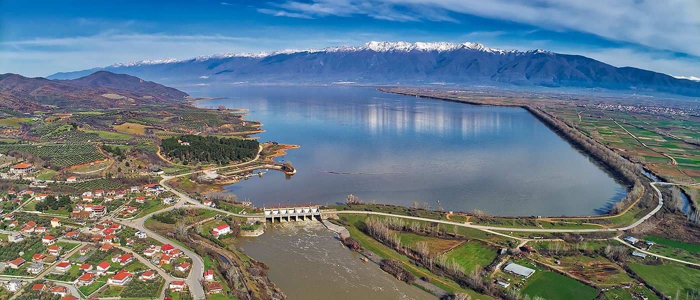 Σερραϊκό πρόβατο: Nτόπια φυλή με καλές αποδόσεις και ποιότητα σε γάλα και κρέας