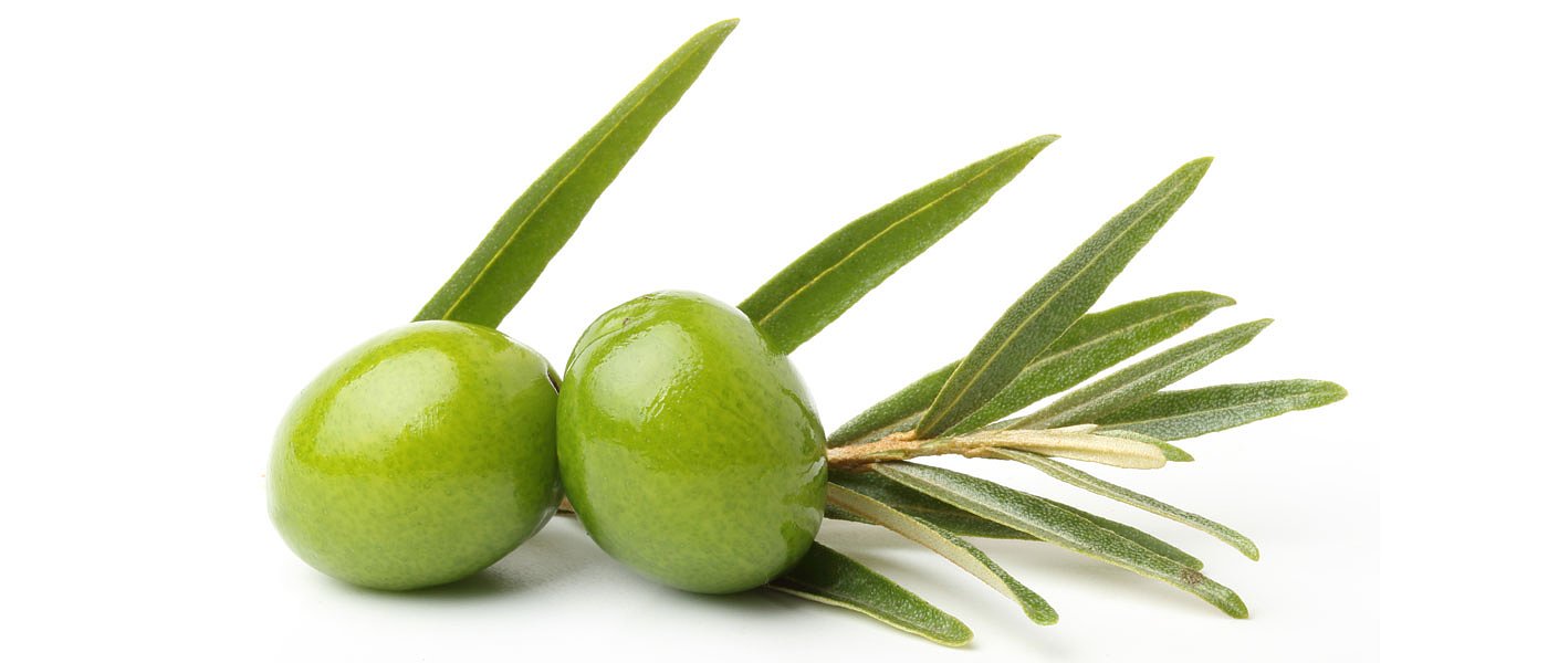 Πανελλαδική κινητοποίηση ελαιοπαραγωγών, μεγάλη η ζημιά από ακαρπία λένε στην Χαλκιδική