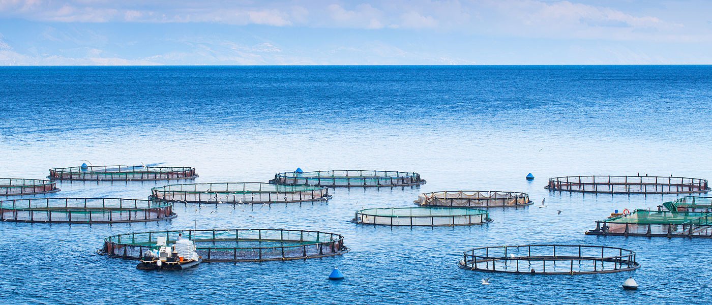 Υδατοκαλλιέργειες: Τέλος στις επιχειρήσεις ζόμπι, λέει η Αραμπατζή