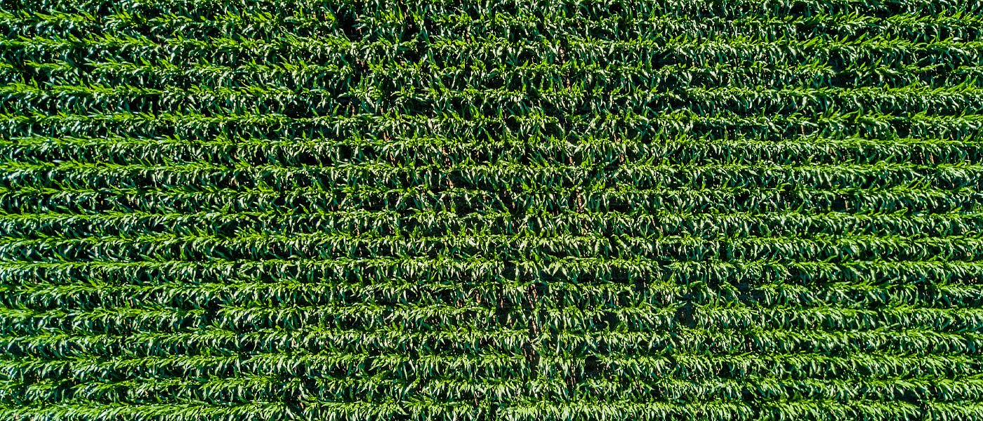 Χλωμιάζει εκ νέου το άνοιγμα των δηλώσεων ΟΣΔΕ στις 15 Απριλίου