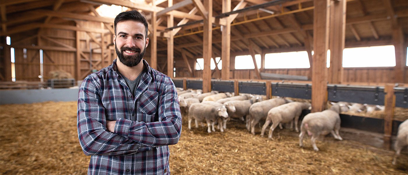 Τι ισχύει με τις συνδεδεμένες στις ζωοτροφές με τη νέα ΚΑΠ, προϋποθέσεις και ενισχύσεις