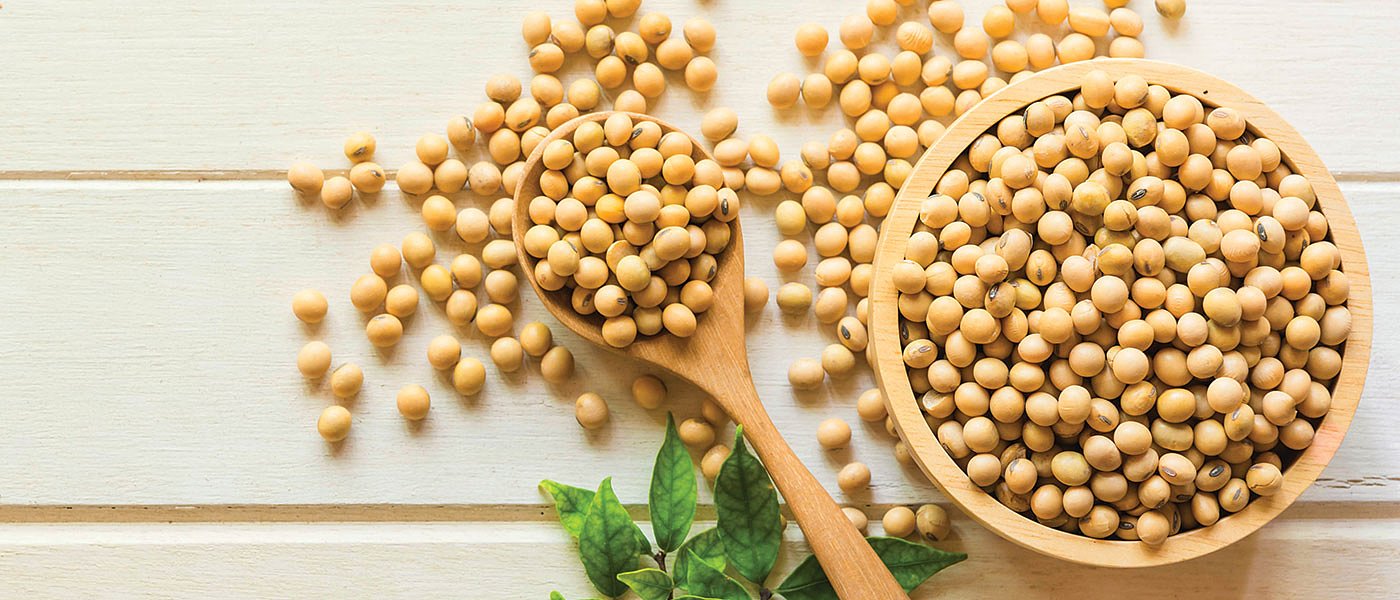 Να μπει ξανά η σόγια στο καθεστώς Συνδεδεμένης Πρωτεϊνούχων Κτηνοτροφικών Ψυχανθών