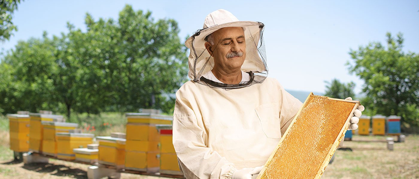 Οδηγίες για δηλώσεις παραγωγής και εμπορίας μελιού και ενισχύσεις μικρών νησιών