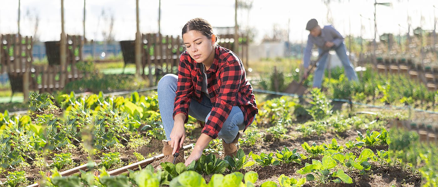 Στήριξη οικογενειακών εκμεταλλεύσεων στη νέα ΚΑΠ, σε 5 χρόνια χάθηκαν 3 εκ. αγροκτήματα