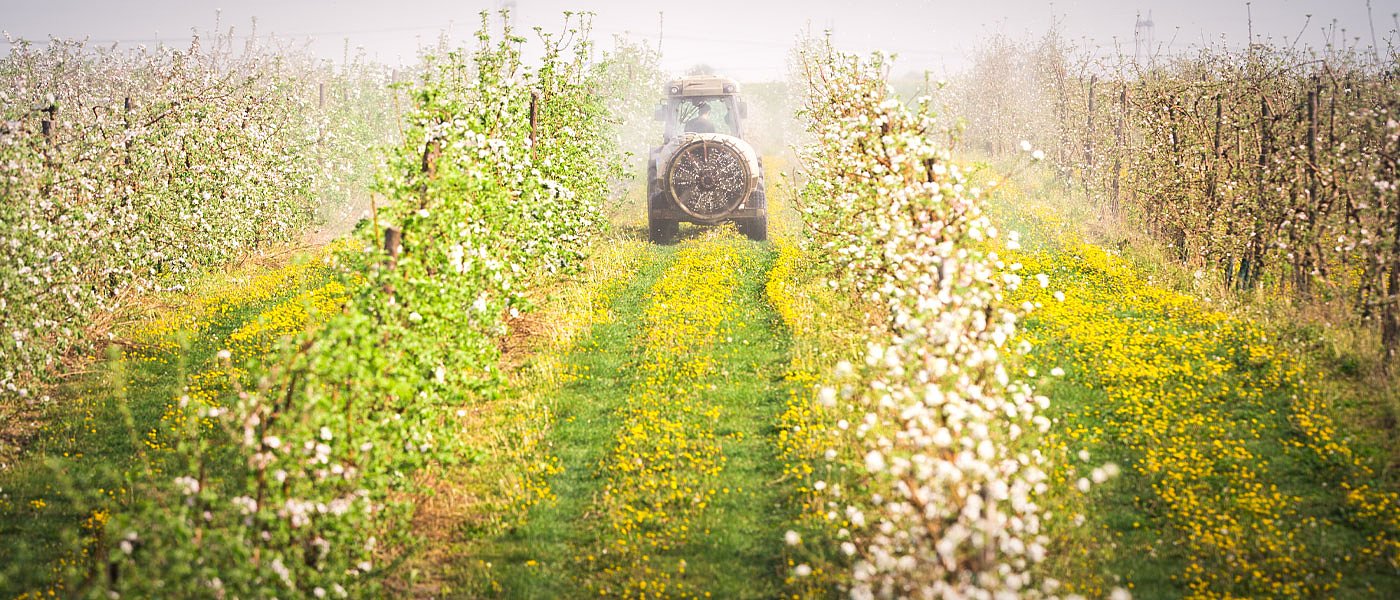 Χωρίς τέλος επιτηδεύματος αγρότες και αλιείς για μια ακόμα χρονιά