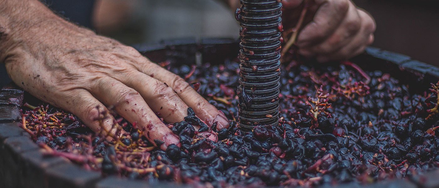 Μέχρι τέλη Νοεμβρίου δηλώσεις συγκομιδής αμπελιών αλλιώς πρόστιμα έως 5.000 ευρώ