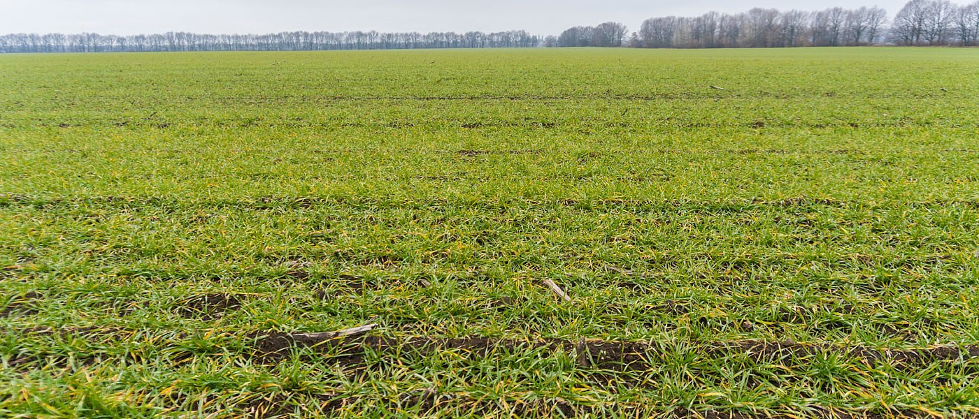 Προ των πυλών εκκαθάριση γεωργοπεριβαλλοντικών προγραμμάτων, εγκρίθηκε η νιτρορύπανση